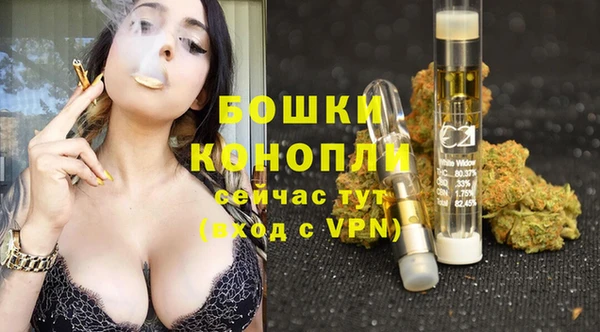 spice Богданович