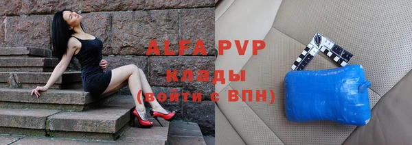 spice Богданович
