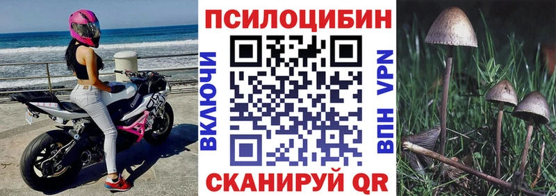 Псилоцибиновые грибы прущие грибы Окуловка